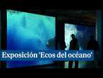 La exposición 'Ecos del océano' descubre la relevancia de la comunicación sonora en la vida marina