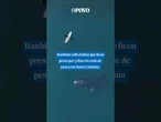 Banhista solta #baleia que ficou presa por 3 dias em rede de #pesca de Santa Catarina #shorts #viral