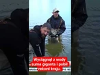 Wyciągnął z wody suma giganta i pobił rekord kraju. Ryba miała aż 268 centymetrów długości
