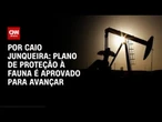 Análise: Ibama dá passo importante rumo à licença da Margem Equatorial | CNN PRIME TIME