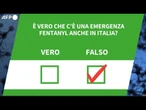 E' vero che c'e' una emergenza Fentanyl anche in Italia?