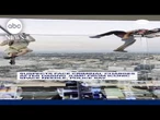 Daredevils jump from Space Needle in Seattle