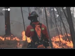 Spagna, non si placano gli incendi nel Nord-ovest del Paese