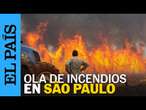 BRASIL | Incendios sin control en São Paulo son de origen sospechoso | EL PAÍS