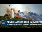 EUROPA BRENNT! Tausende Menschen evakuiert, Waldbrände außer Kontrolle!