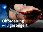 Ölförderung: Kartell OPEC+ dreht den Hahn auf