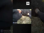 Polícia resgata cachorro que ficou preso em pedras nos EUA