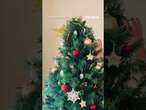 Family finds snake inside their Christmas tree