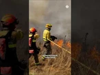 ¿Por qué se invierte más en apagar los incendios que en prevenir?