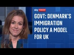 Home Office looking to use Denmark as a model to tackle illegal migration
