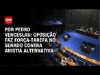 Oposição faz força-tarefa no Senado contra anistia alternativa | CNN ARENA