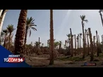 Meteo estremo, gli scienziati avvertono: il Super El Niño arriverà in anticipo (e sarà torrido)