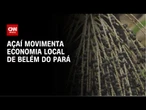 CNN na COP30: açaí movimenta economia local de Belém do Pará | CNN NOVO DIA