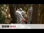 Syria sees outbreaks of violence and killings | BBC News