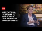 Gripe aviária: Governo está atuando de forma adequada, diz senadora Tereza Cristina | CNN 360º