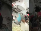 Héroes de cuatro patas: así arriesgan su vida los perros españoles de rescate en Venezuela