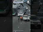 Family of ducks stops traffic on Australia highway