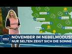 NOVEMBERWETTER IN DEUTSCHLAND: Dichter Nebel und eisige Kälte haben das Land fest im Griff