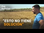 ARAGÓN: La DANA ARRASA CULTIVOS y CAUSA PÉRDIDAS MILLONARIAS en el CAMPO | RTVE Noticias