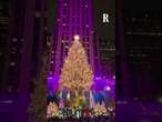 NEW YORK, si accendono le luci dell'ALBERO di NATALE al Rockefeller Center