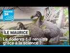 Le dodo de l'île Maurice, cet oiseau disparu, va-t-il renaître grâce à la science ?