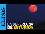 LUNA | Así se ha visto la Superluna de Esturión en Sevilla, París, Río y otras ciudades del mundo