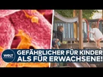 MECKLENBURG-VORPOMMERN: EHEC-Ausbruch! 14 Kinder infiziert – "Die Suche der Stecknadel im Heuhaufen"