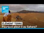 Il pleut au Sahara et c'est un effet du réchauffement climatique • FRANCE 24