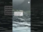 Gran expectación por dos grandes ballenas nadando en la bahía de Port de la Selva
