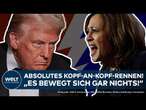 USA: "Sehr spannender Wahlkampf" - Kamala Harris und Donald Trump mit engem Kopf-an-Kopf-Rennen