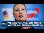 ALICE WEIDEL IM WAHLKAMPFMODUS: AfD will Kernkraft, Grenzschließungen und Steuererleichterungen