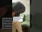 Detienen a unos atracadores que robaron una joyería de Madrid disfrazados de sacerdote y monja