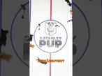 STANLEY PUP: Welpen erobern das Eis! #welt #shorts
