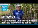 À La Réunion, encore une année difficile pour les planteurs de canne • FRANCE 24