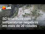 Neva em Santa Catarina: Mais de 20 cidades amanhecem com temperatura negativa; veja vídeos