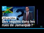 Melissa en Jamaïque : un ouragan d'intox sur les réseaux sociaux • FRANCE 24