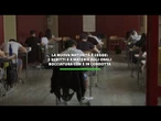 Nuova Maturita' con due scritti e 4 materie agli orali, il via a giugno