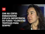 Embaixadora explica importância do fundo “Florestas Tropicais para Sempre” | CNN PRIME TIME