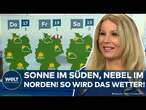 MILDER HERBST: Sonne im Süden, Hochnebel im Norden! Im November könnte es frösteln | WELT WETTER