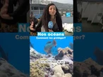 #conférenceocéan2025 : Quel avenir pour nos océans ? • FRANCE 24