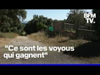 Gard: le corps d'un jeune homme retrouvé torturé, ligoté et immolé dans le village de Saint-Bénézet