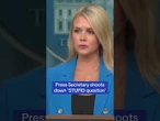 Karoline Leavitt shoots down 'stupid question'