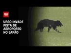 Urso invade pista de aeroporto no Japão e voos são cancelados | CNN BRASIL