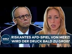 DEUTSCHLAND: Der AFD-Druck steigt! Fällt die Brandmauer Friedrich Merz bald auf die Füße?