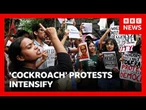 India's Modi government under growing pressure as 'cockroach' protests intensify | BBC News