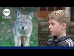 Coyote attacks 9-year-old playing hide-and-seek in Oregon