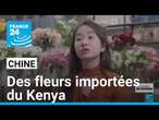 Chine-Afrique : dans la province du Hunan, des fleurs importées du Kenya • FRANCE 24