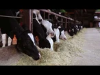 AGRO INFO | 29.09.2025 | TV Republika