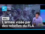 Mali : l'armée visée par une embuscade des rebelles du FLA • FRANCE 24