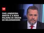 Caio Junqueira: anistia é a nova palavra de ordem do bolsonarismo | WW